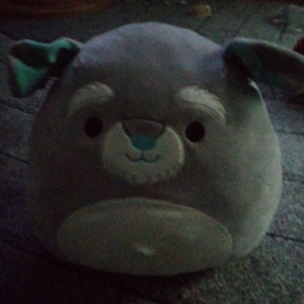 Squishmallows Gray and Teal Dog Toy